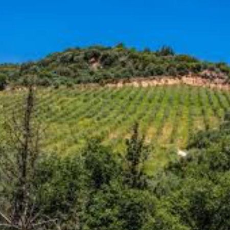 Mystras Inn Екстериор снимка